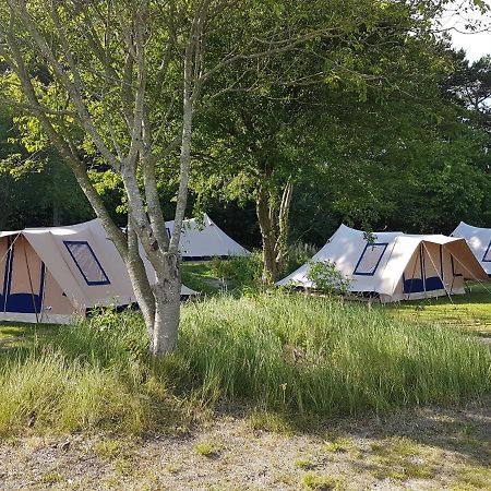 Ameland Tentenverhuur Atv Ballum Dış mekan fotoğraf